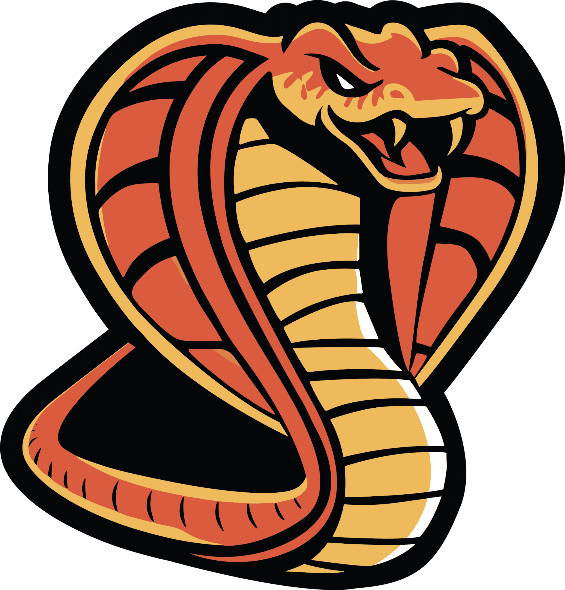 Cairo Cobras logo